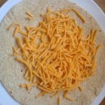 Microwave Monday: Quesadillas | The Savvy Student @ SBU