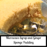 Microwave Syrup and Ginger Sponge Pudding | Recipe | Hot desserts, Ginger  pudding recipe, Microwave recipes dinner