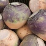 How to Cook Rutabaga in the Microwave | How to cook rutabaga, Roasted  rutabaga, Rutabaga recipes