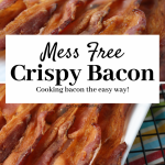 Mess Free Crispy Bacon - Tessa the Domestic Diva