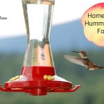 Easy Homemade Hummingbird Food Recipe Plus Important Tips