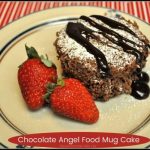 Chocolate Angel Food Mug Cake / The Grateful Girl Cooks!