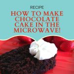 How to Make a Chocolate Cake in the Microwave With Only 4 Ingredients -  Just Smart Kitchenware