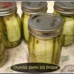 Garlic Dill Pickles (old-fashioned) / The Grateful Girl Cooks!