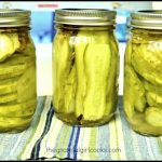 Garlic Dill Pickles (old-fashioned) / The Grateful Girl Cooks!