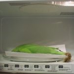 Microwave Corn : 4 Steps (with Pictures) - Instructables