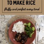 How to Cook Rice in the Microwave - Six Clever Sisters