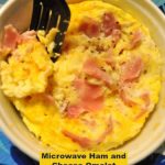 Microwaved Ham Cheese Omelet / The Grateful Girl Cooks!