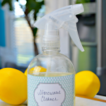 Homemade Microwave Cleaning Spray - Mom 4 Real