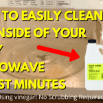 How to Easily Clean the Inside of a Dirty Microwave in just Minutes [Using  vinegar] - Learn Along with Me