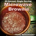 Chocolate Dessert For One: 60-Second Microwave Mug Brownie