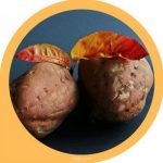 How to Microwave Sweet Potato