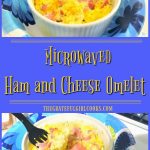 Microwaved Ham Cheese Omelet / The Grateful Girl Cooks!