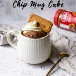 Microwave Chocolate Chip Biscoff Mug Cake Recipe | ET Food Voyage