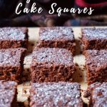 Easy Chocolate Cake Squares Recipe | ET Food Voyage
