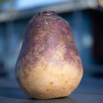How to Cook with Rutabaga - Fulfilling Nutrition