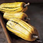 How to Cook Delicata Squash | Better Homes & Gardens