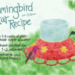 Classic and Safe Hummingbird Nectar Recipe