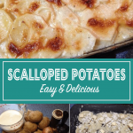 Simple Scalloped Potatoes from Scratch Recipe - Home Ec 101