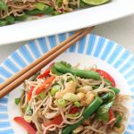 Soba Noodle Salad with Lime-Sesame Dressing | Thoroughly Nourished Life