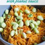 Spaghetti Squash with Peanut Sauce – Pepper Scraps