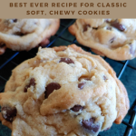 Best Ever Chocolate Chip Cookie Recipe - The Beekeepers Kitchen