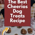 The Best Cheerios Dog Treats Recipe - My Aussie Service Dog