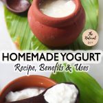 YOGURT- RECIPE, BENEFITS AND USES - The Natural DIY