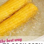 How To Cook Canned Corn In The Microwave - unugtp