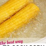 How To Cook Canned Corn In The Microwave - arxiusarquitectura