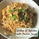 Take-out Tuesday, Oodles of Noodles with Peanut Sauce | The Painted Apron
