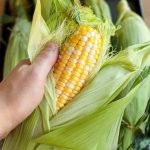 How To Cook Canned Corn In The Microwave - arxiusarquitectura