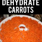 How To Dehydrate Carrots ⋆ Life Dehydrated