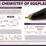 The chemistry of aubergine (eggplant) colour, bitterness and browning –  Compound Interest