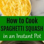 How To Cook Spaghetti Squash Fast Review at how to -  partenaires.e-marketing.fr