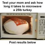 People Ask Their Parents How To Cook A 25 Lb Turkey In A Microwave And Here  Are 31 Hilarious Responses - Success Life Lounge