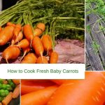 How to Cook Fresh Baby Carrots in 4 Easy Ways