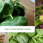 How to Cook Spinach Leaves by Steaming, Microwave or Sautéing