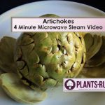 Artichokes: 4 Minutes Microwave Healthy Stem from Plants-Rule - YouTube