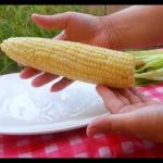 How to cook Corn On The Cob in the MICROWAVE ! - YouTube
