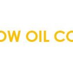Low Oil Cookbook | Oil Free Recipes & More…
