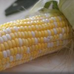 Corn on the Cob: How to Shuck & Cook in Under 5 Minutes - Hip2Save