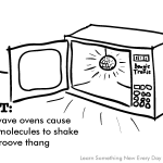 Is it bad to leave food on top of your microwave? | SiOWfa12: Science in  Our World