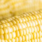 Microwave Corn on the Cob - Baking Mischief