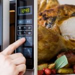 What is microwave turkey prank? Thanksgiving joke about 25-pound turkey  goes viral - al.com