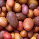 Potato power: 21 great ways to top your spuds - Lani Muelrath | Mindful,  Active, Vegan Living