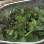 Wilted Beet Greens | The Greek Vegan