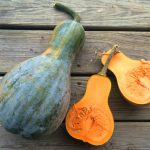 How to Roast Any Whole Squash, Including a No-Cut Method! - Whole-Fed  Homestead