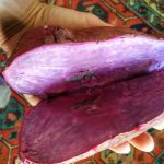 Nutty Purple Sweet Potato Flatbread | Gluten-Free #PurplePowerToThePeople |  thefitfork.com