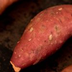 how to cook sweet potato in the oven Archives | Lifestyle of a Foodie